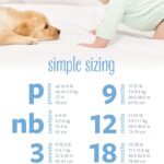 How Long Do Babies Wear Newborn Diapers: Quick Guide